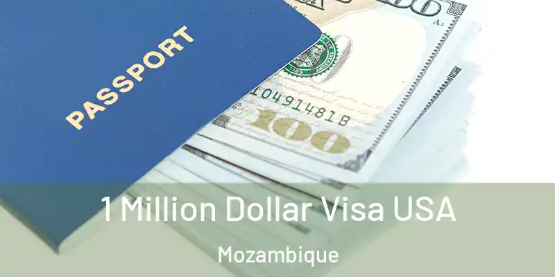  1 Million Dollar Visa USA Mozambique